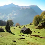 Mislin- Direkte Bergsicht By Interhome * Grindelwald