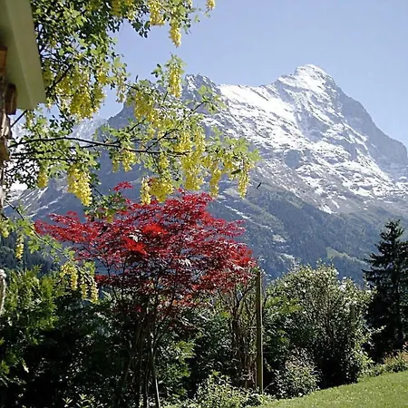 Mislin- Direkte Bergsicht By Interhome Lägenhet *