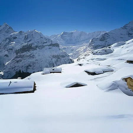 Lägenhet Mislin- Direkte Bergsicht By Interhome Grindelwald