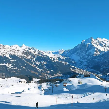 Mislin- Direkte Bergsicht By Interhome Lägenhet Grindelwald