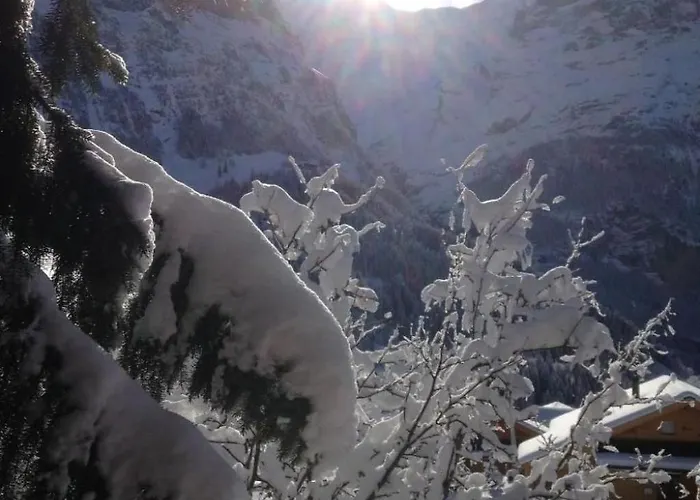 Mislin- Direkte Bergsicht By Interhome * Grindelwald