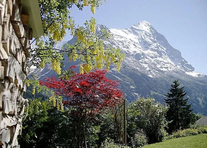 Mislin- Direkte Bergsicht By Interhome Apartment *